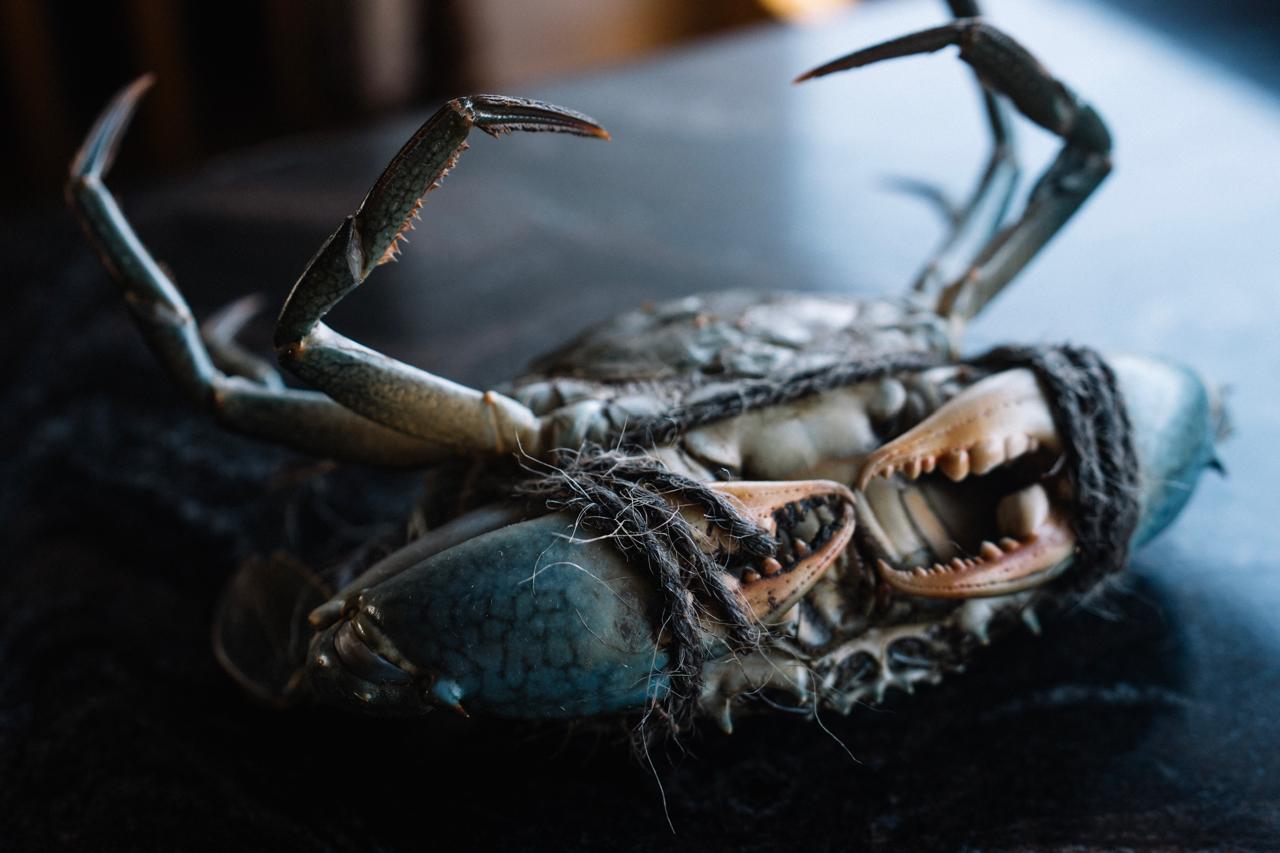 Fresh seafood dishes at Bambino Beach Restaurant